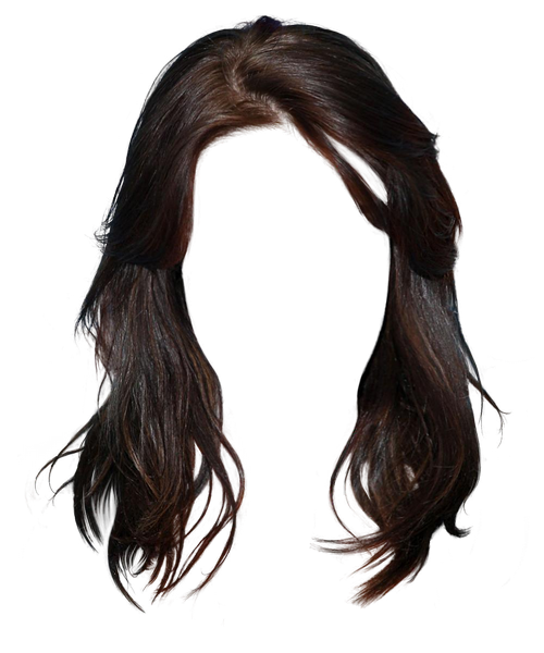 Long hair Brown hair Black hair Hairstyle - Western style long hair  brunette graphic material png download - 500*600 - Free Transparent Long Hair  png Download. - Clip Art Library
