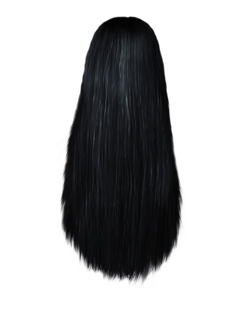 Black hair Wig Brush Brown hair Long hair - Women hair PNG image png  download - 800*1000 - Free Transparent Hair png Download. - Clip Art Library