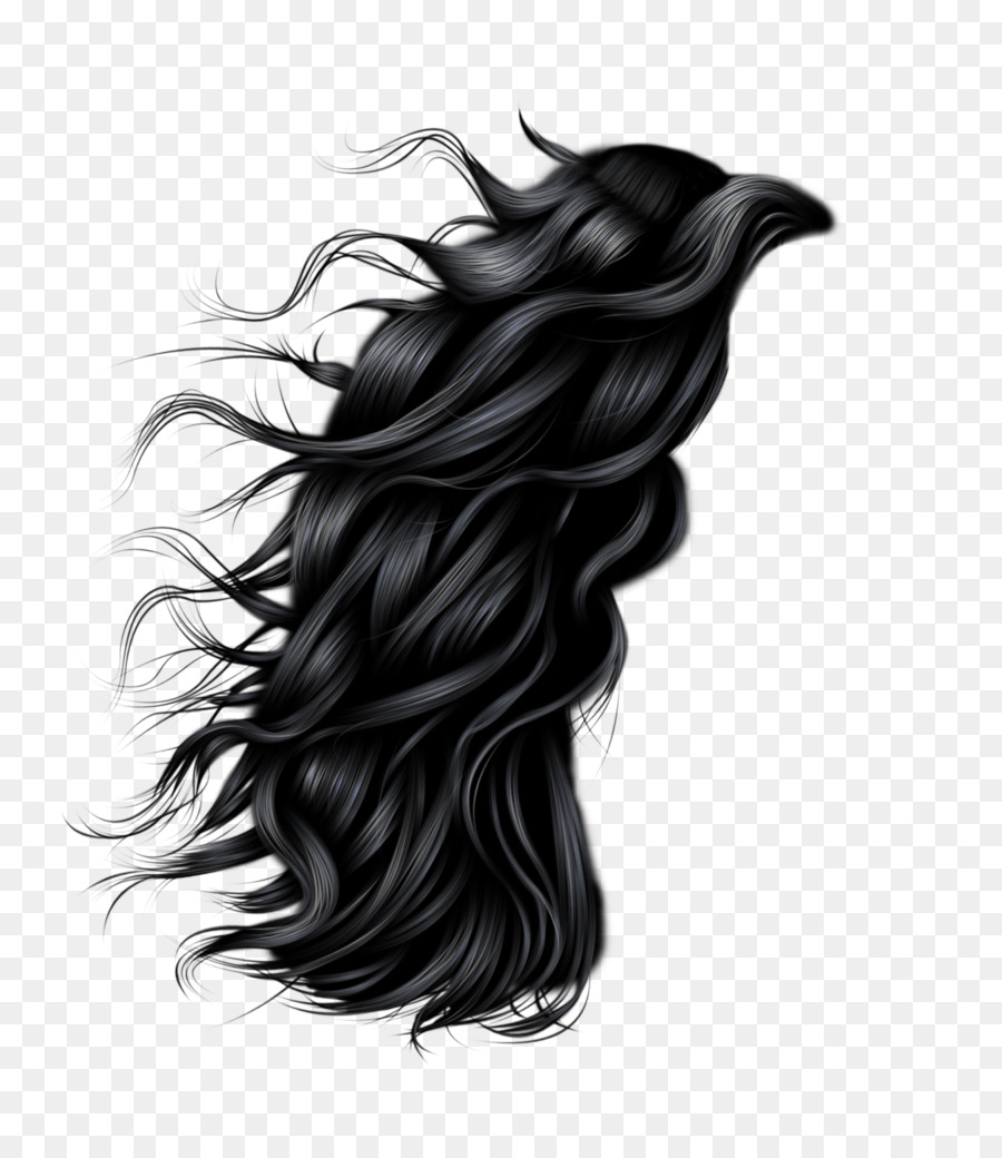 Hairstyle Photography Clip art - hair png download - 900*1032 - Free Transparent Hair png Download.