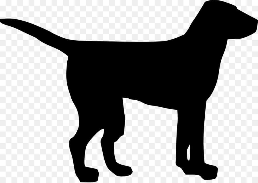 Labrador Retriever Puppy Clip art - bone dog png download - 1280*907 - Free Transparent Labrador Retriever png Download.