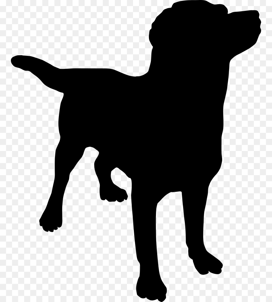 Labrador Retriever Silhouette Clip art - Silhouette png download - 828*1000 - Free Transparent Labrador Retriever png Download.