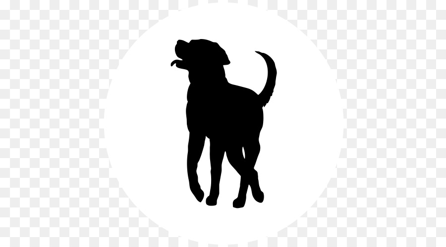 Labrador Retriever Puppy Dog breed Golden Retriever Pembroke Welsh Corgi - puppy png download - 500*500 - Free Transparent Labrador Retriever png Download.