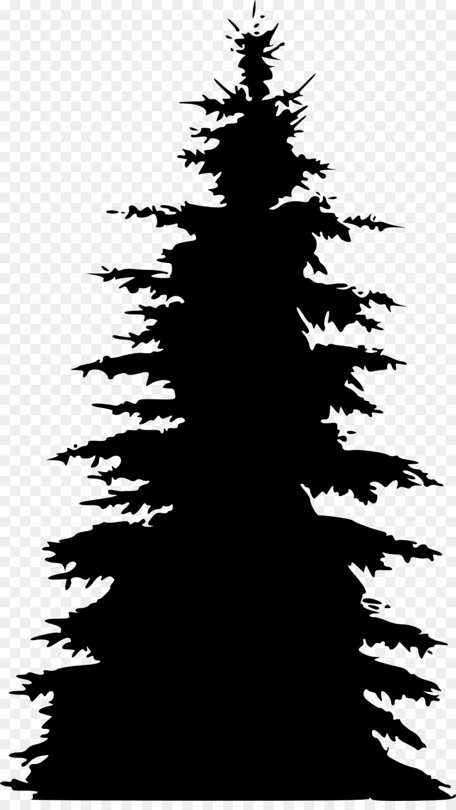 Pine Fir Spruce Tree Silhouette - pine tree png download - 1138*2000 - Free Transparent Pine png Download.