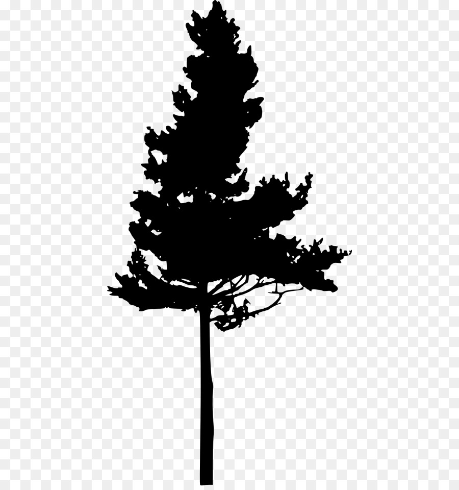 Silhouette Eastern white pine Pinus nigra Tree - Silhouette png download - 480*951 - Free Transparent Silhouette png Download.
