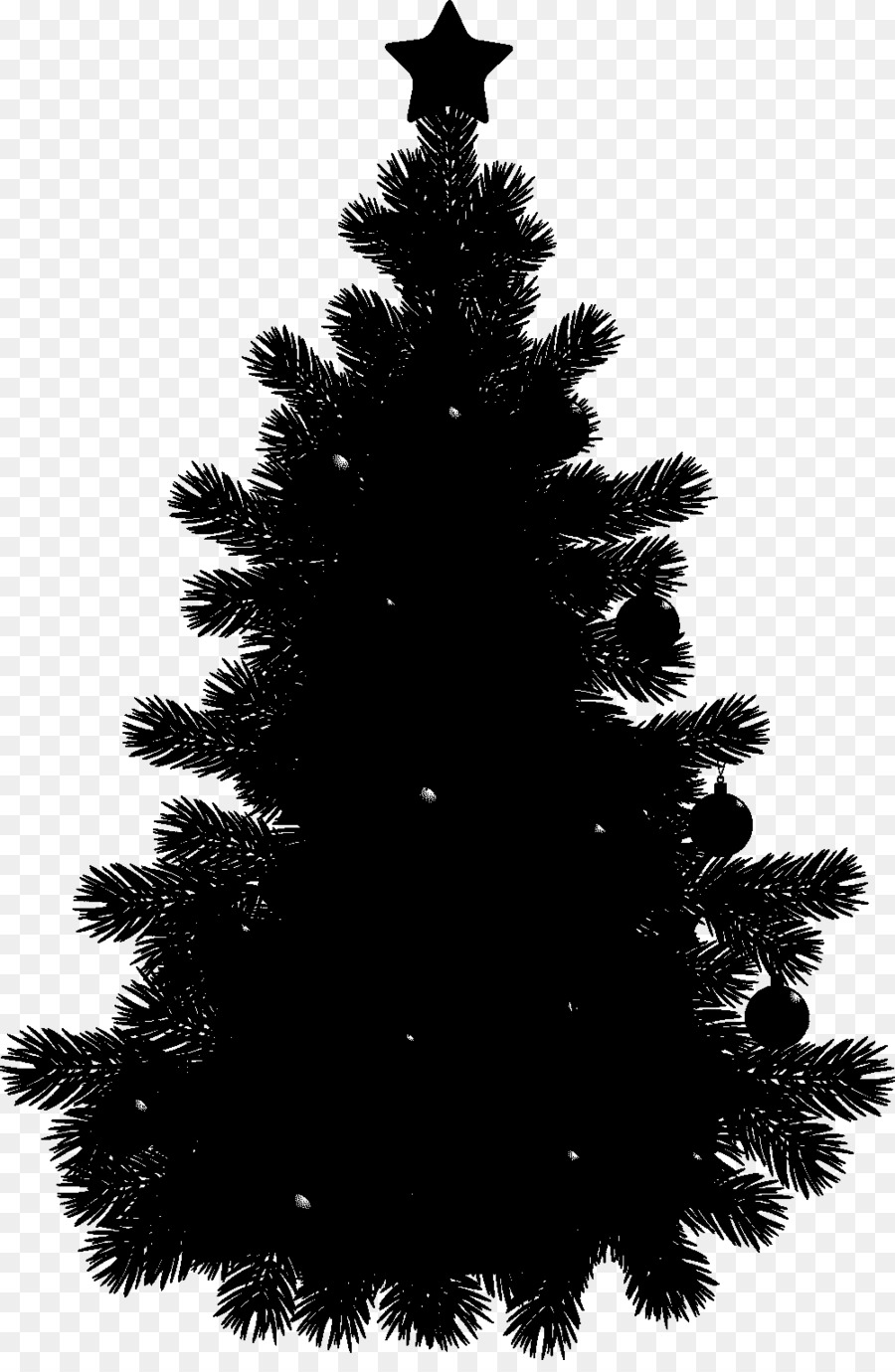 Clip art +Black Pine Tree Openclipart +Black Pine Tree -  png download - 1000*1520 - Free Transparent Pine png Download.