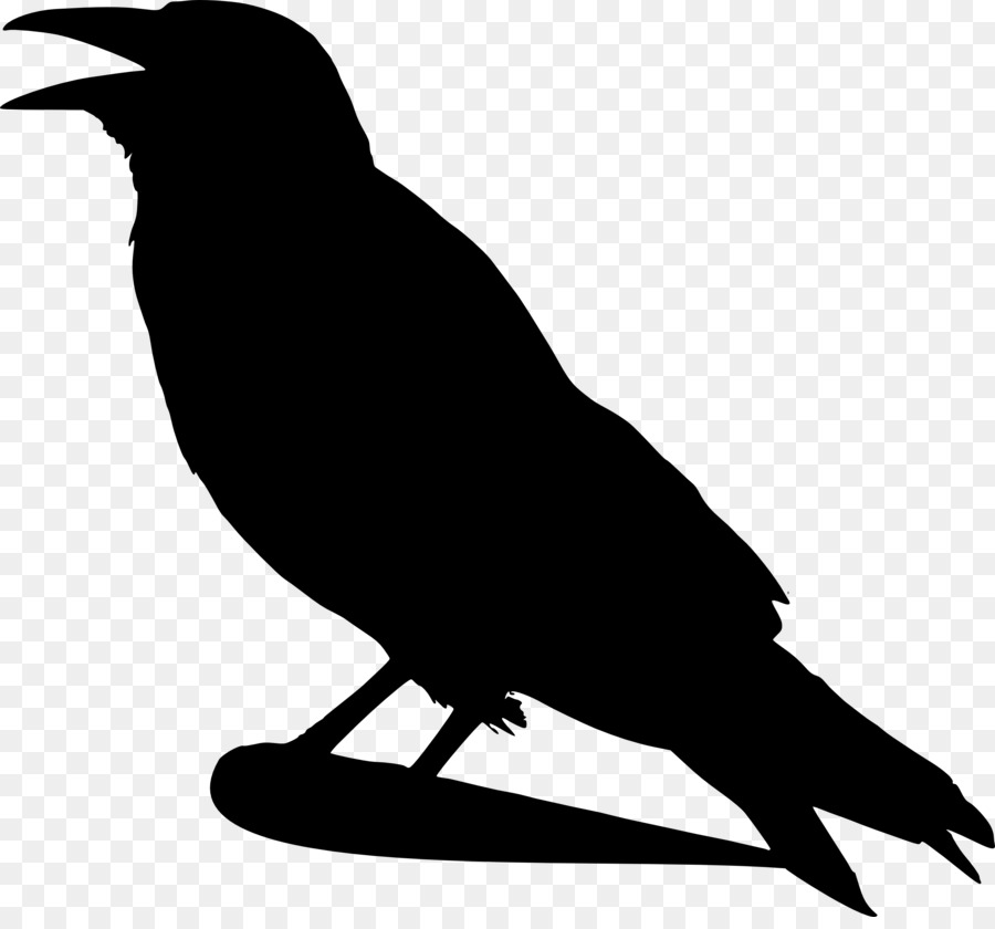 American crow Common raven Bird Silhouette Clip art - Premonition Cliparts png download - 2555*2354 - Free Transparent American Crow png Download.