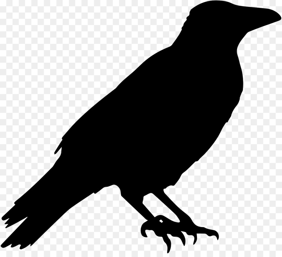 American crow Common raven Clip art - bird Black And White png download - 1280*1154 - Free Transparent American Crow png Download.