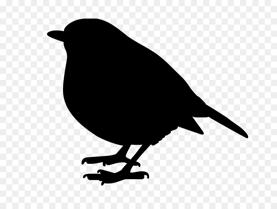 American crow Black Silhouette Common raven White - Silhouette png download - 890*665 - Free Transparent American Crow png Download.