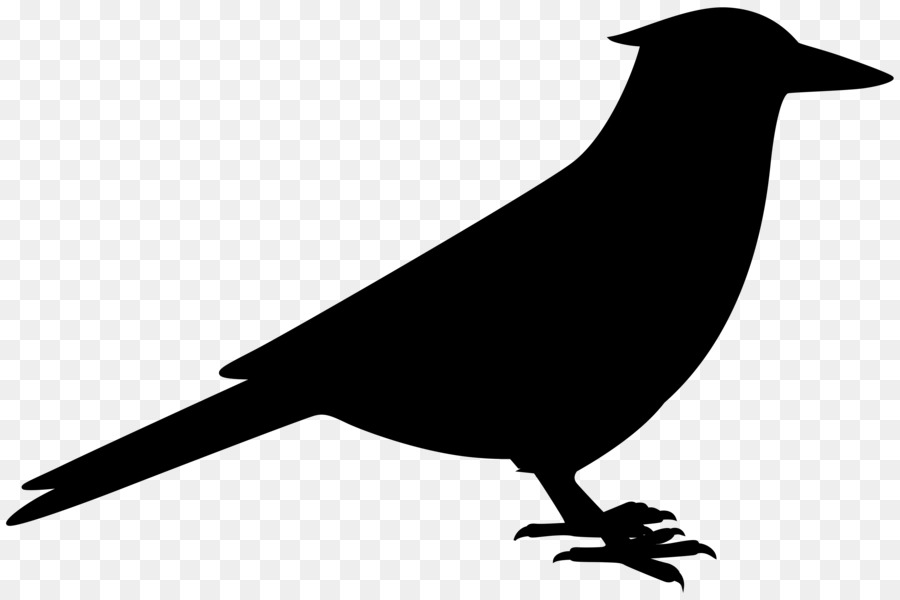 American crow Fauna Common raven Silhouette -  png download - 8000*5325 - Free Transparent American Crow png Download.