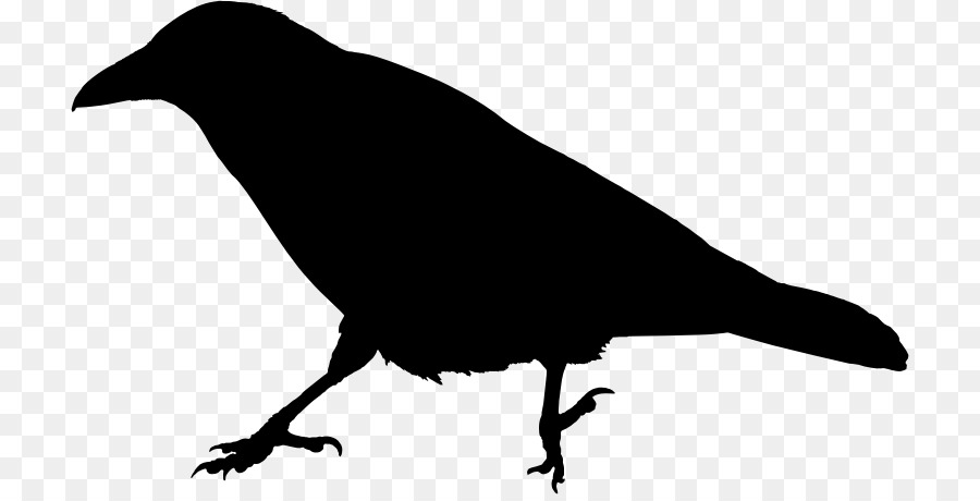 The Raven Common raven Clip art - raven silhouette png download - 770*454 - Free Transparent Raven png Download.