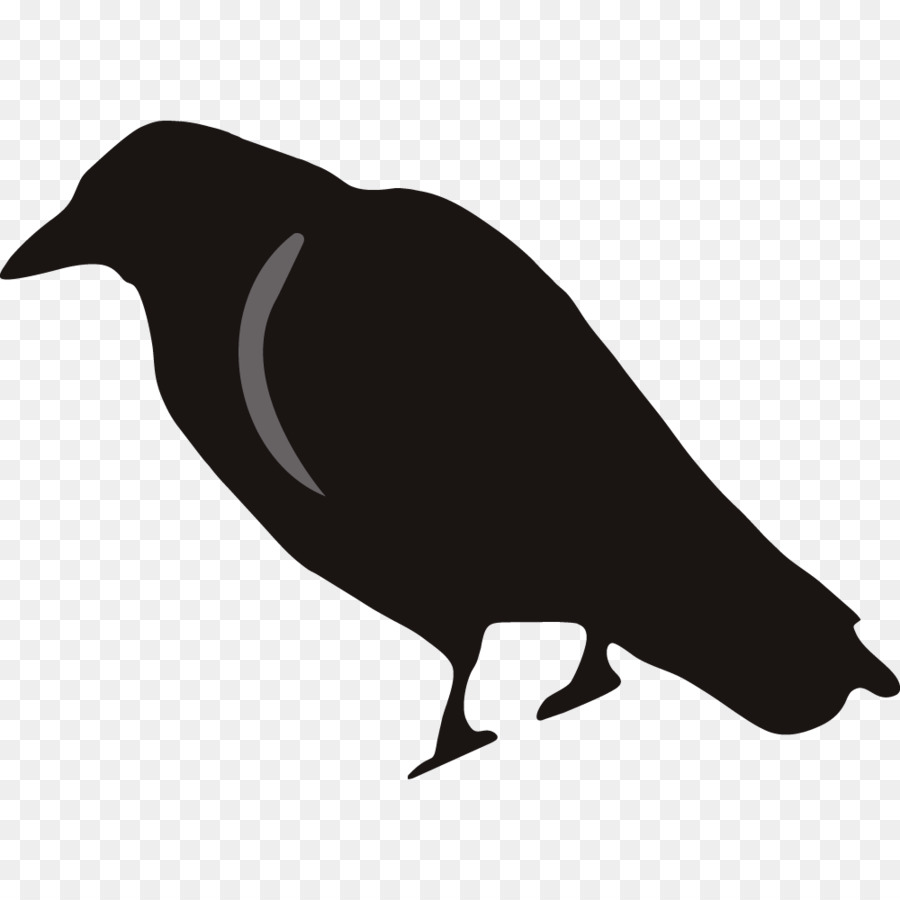 Rook Common raven stock.xchng Clip art - Cute Raven Cliparts png download - 1000*1000 - Free Transparent Rook png Download.