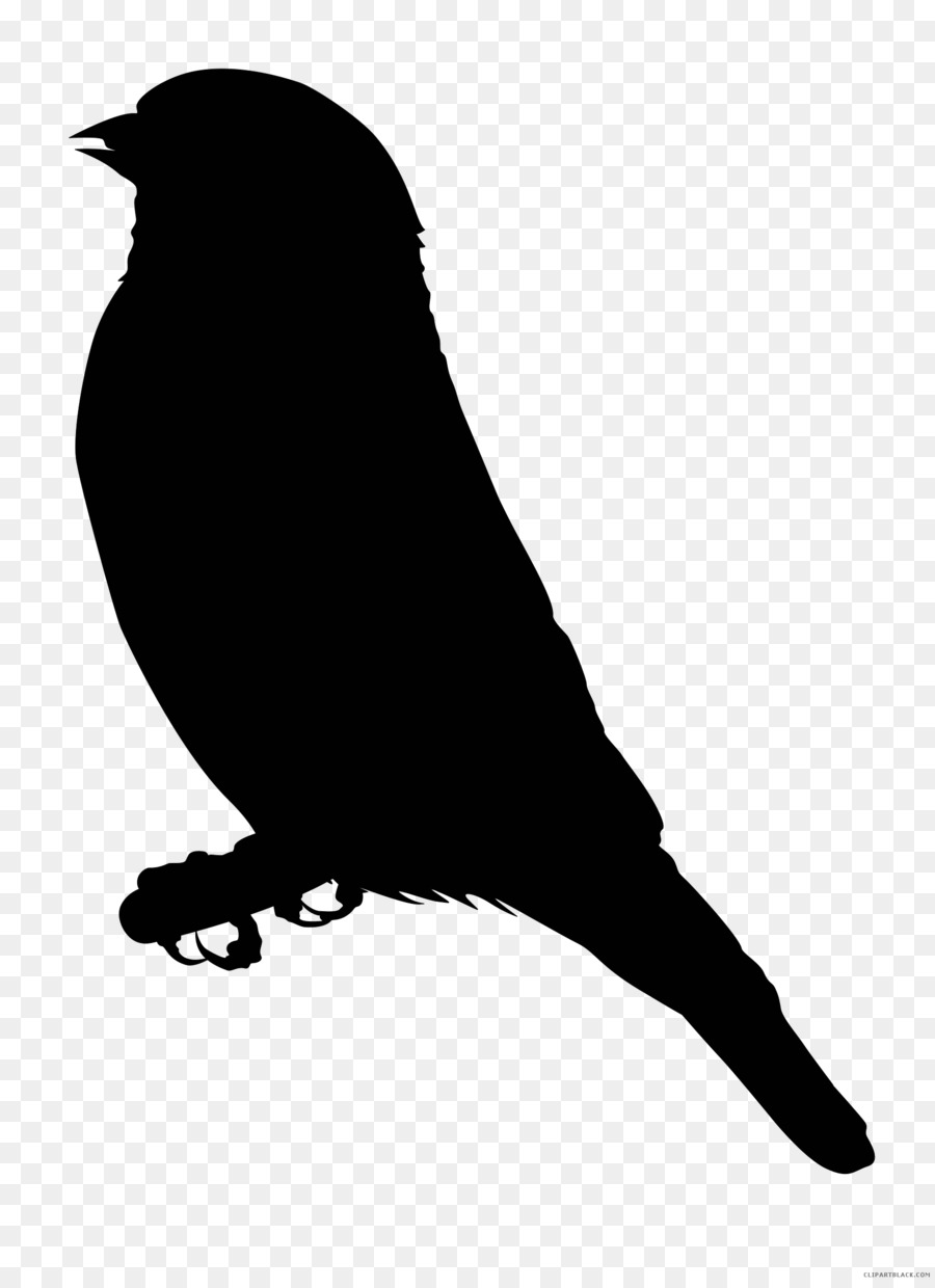 Finches Clip art Scalable Vector Graphics Free content - black and white raven drawings png download - 1751*2400 - Free Transparent Finches png Download.