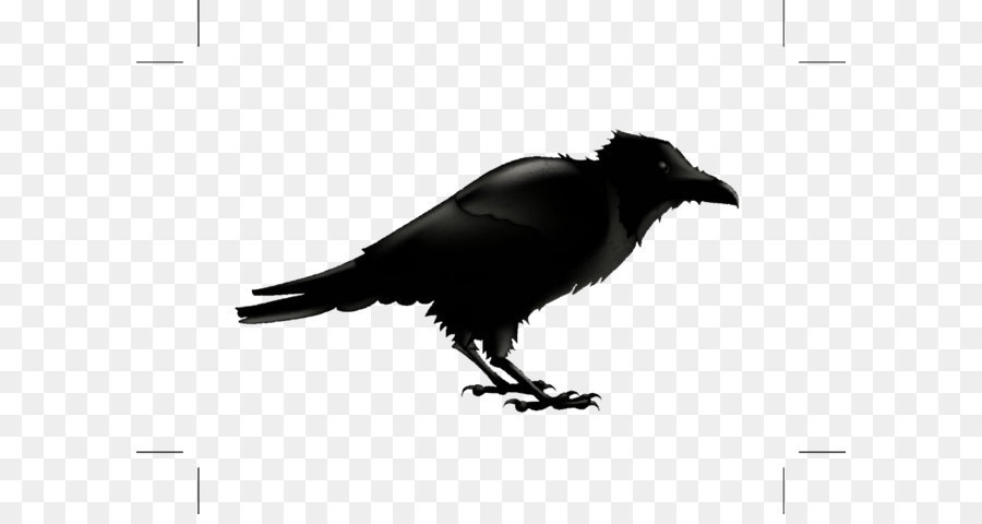 Common raven Silhouette Stock photography Illustration - Black cartoon bird png download - 1000*725 - Free Transparent Common Raven png Download.