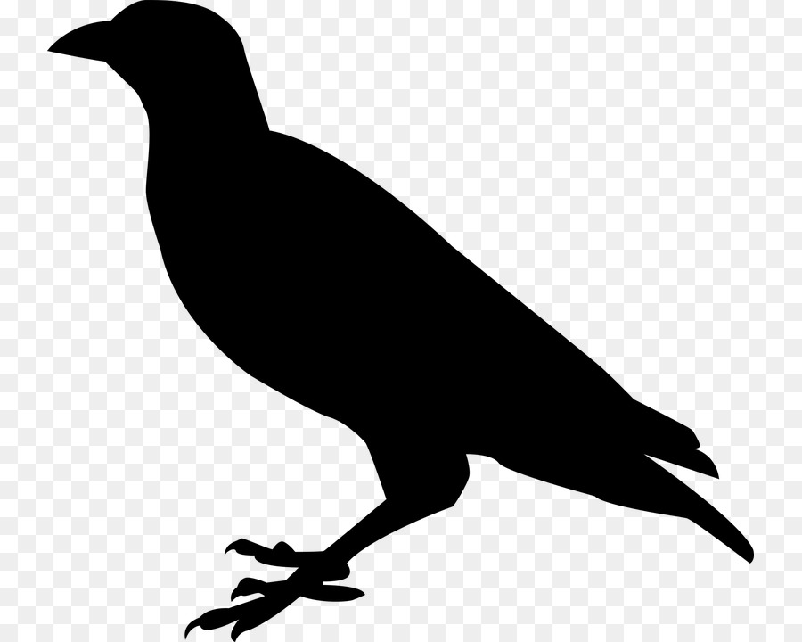 Beak Black and white Fauna Silhouette - Raven Bird PNG Pic png download - 793*720 - Free Transparent Beak png Download.