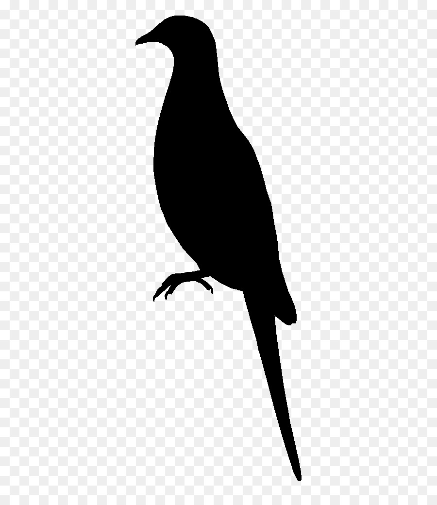 American crow Silhouette Black Common raven White - Silhouette png download - 640*1024 - Free Transparent American Crow png Download.