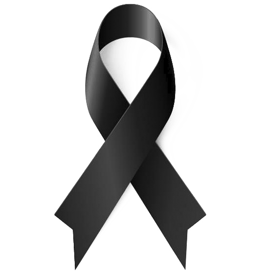 Black ribbon Awareness ribbon - ribbon png download - 538*540 - Free