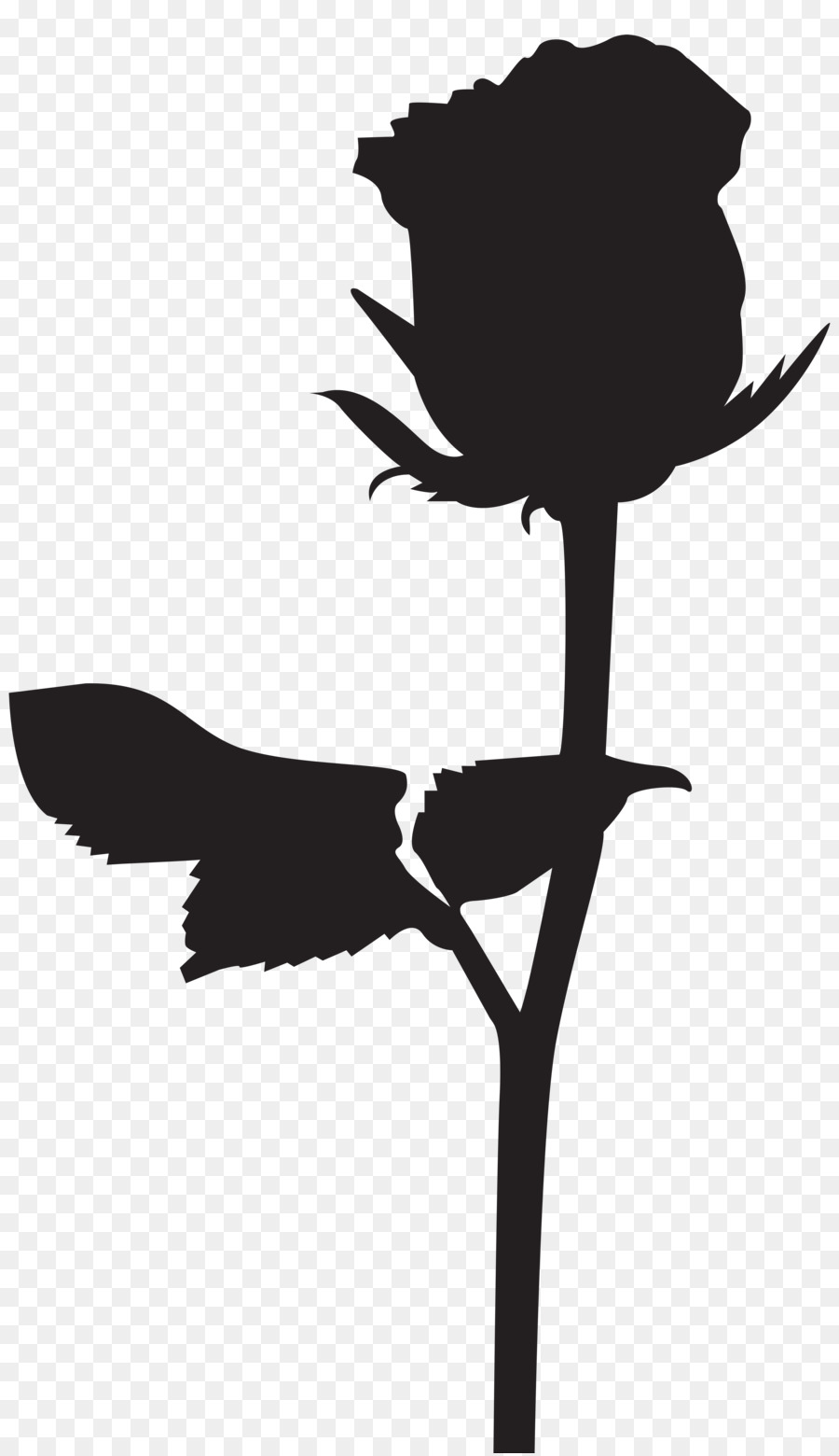 Silhouette Black rose Drawing Clip art - silhouettes png download - 4624*8000 - Free Transparent Silhouette png Download.
