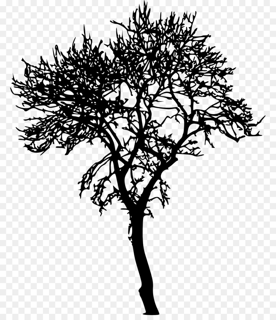 Twig Tree Silhouette - tree png download - 833*1024 - Free Transparent Twig png Download.