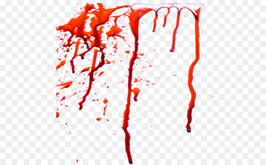 Blood Artery Hemodynamics Heart - Blood PNG image png download - 700*600 - Free Transparent  png Download.