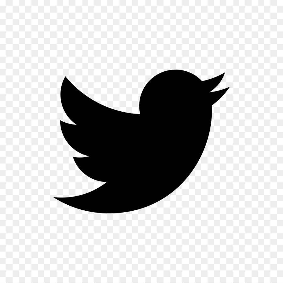 Social media Internet Blog Twitter - blue bird png download - 1080*1080 - Free Transparent Social Media png Download.