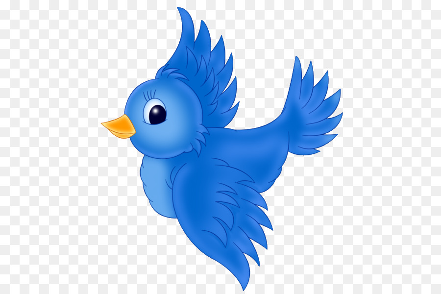 Western bluebird Eastern bluebird Clip art - blue bird png download - 600*600 - Free Transparent Bird png Download.