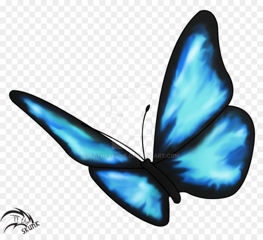 Life Is Strange Butterfly effect Drawing Insect - blue butterfly png download - 947*843 - Free Transparent Life Is Strange png Download.