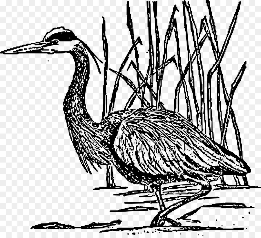 Crane Great blue heron Bird Clip art - crane png download - 2294*2075 - Free Transparent Crane png Download.