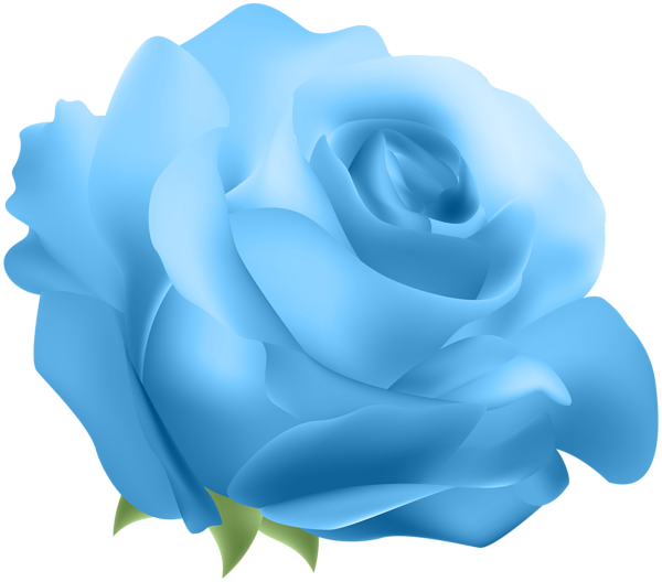 Blue Rose Flower Clip Art Blue Rose Png Download 600528 Free