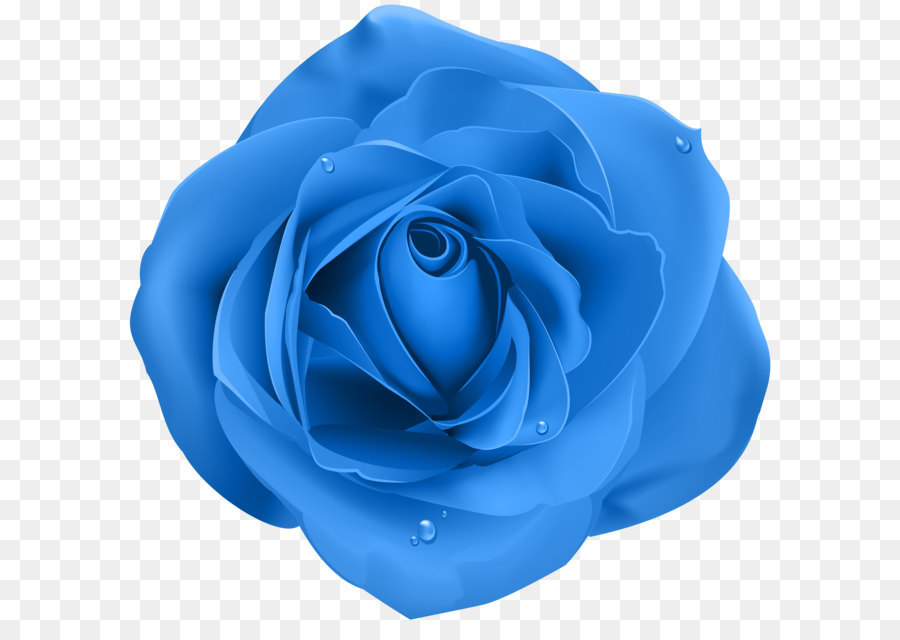 Rose Blue Transparent PNG Clip Art png download - 8000*7669 - Free Transparent Blue Rose png Download.