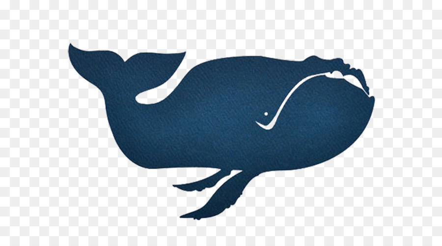 Baleen whale Porpoise Blue whale Illustration - Blue and black whale png download - 661*500 - Free Transparent Baleen Whale png Download.