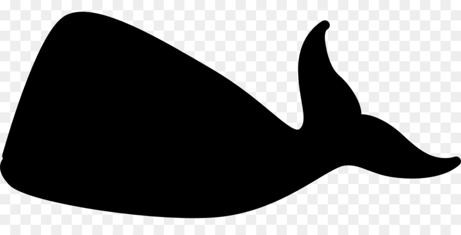 Blue whale Killer whale Clip art - whale png download - 960*480 - Free Transparent Whale png Download.
