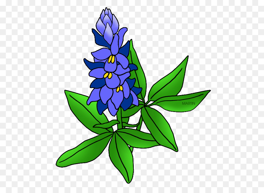 Clip Arts Related To : Lupinus texensis Bluebonnet Drawing Texas - others p...