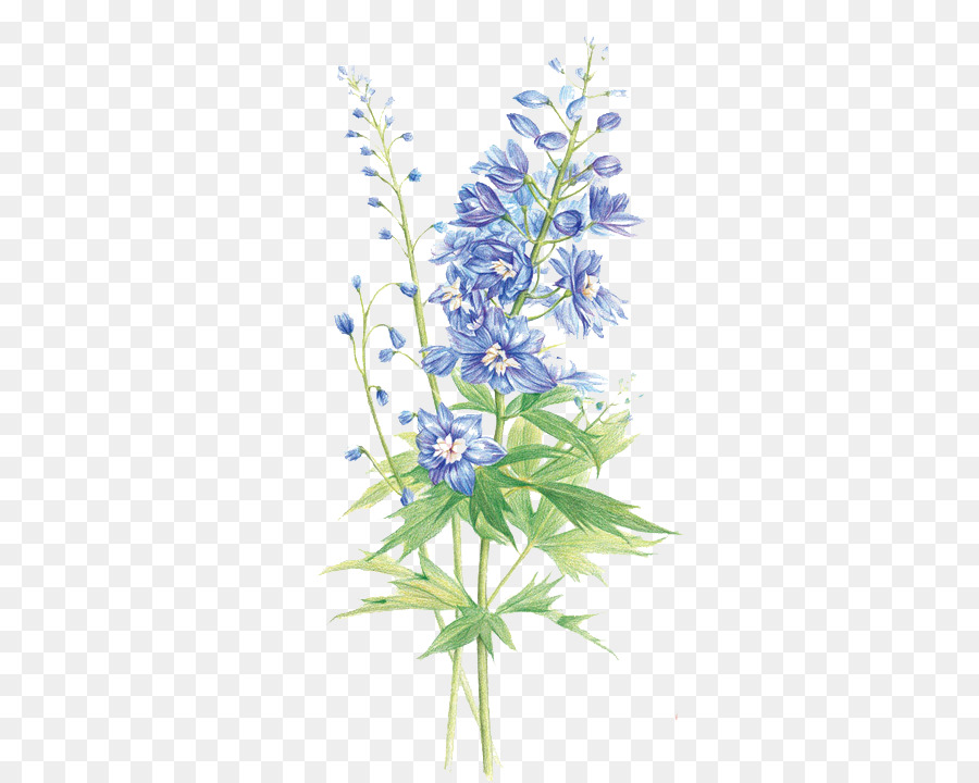 Hyacinthus orientalis Floral design Flower Purple - Purple hyacinth png download - 510*718 - Free Transparent Hyacinthus Orientalis png Download.