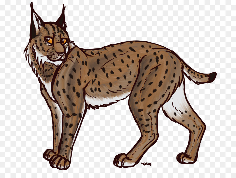 Eurasian lynx Bobcat Canada lynx Drawing Clip art - Lynx PNG Transparent Images png download - 2400*1800 - Free Transparent Eurasian Lynx png Download.