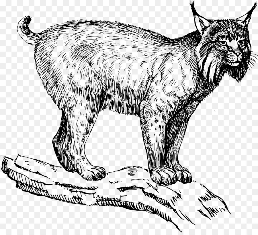 Eurasian lynx Felidae Wildcat Bobcat Clip art - chinese mountain png download - 2319*2089 - Free Transparent Eurasian Lynx png Download.