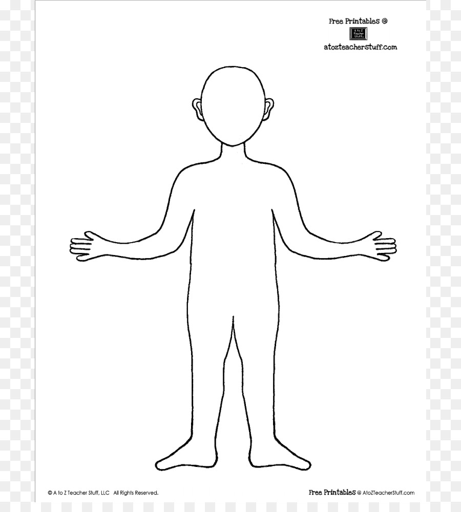 Human body Template Drawing Face Clip art - Body Outline Cliparts png download - 764*981 - Free Transparent  png Download.
