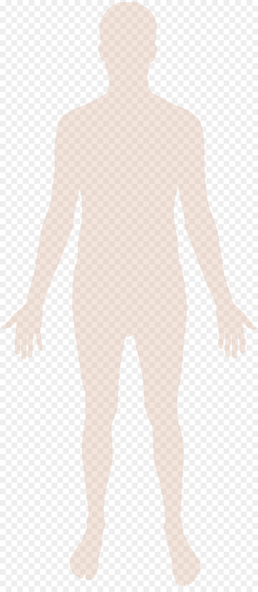 Human body Homo sapiens Hand Scalable Vector Graphics - Human Body Silhouette png download - 2000*4536 - Free Transparent  png Download.
