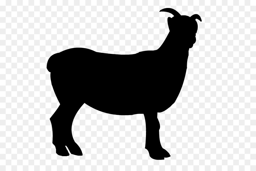 Sheep Boer goat Clip art - Free Sheep Clipart png download - 800*600 - Free Transparent Sheep png Download.