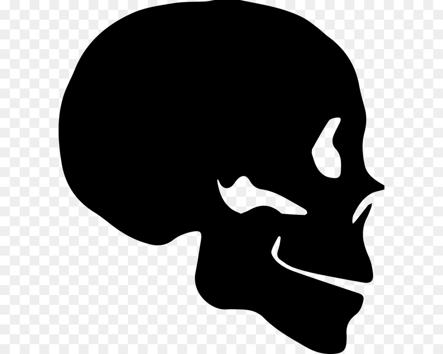 Skull Silhouette Bone Human skeleton - skull png download - 662*720 - Free Transparent Skull png Download.