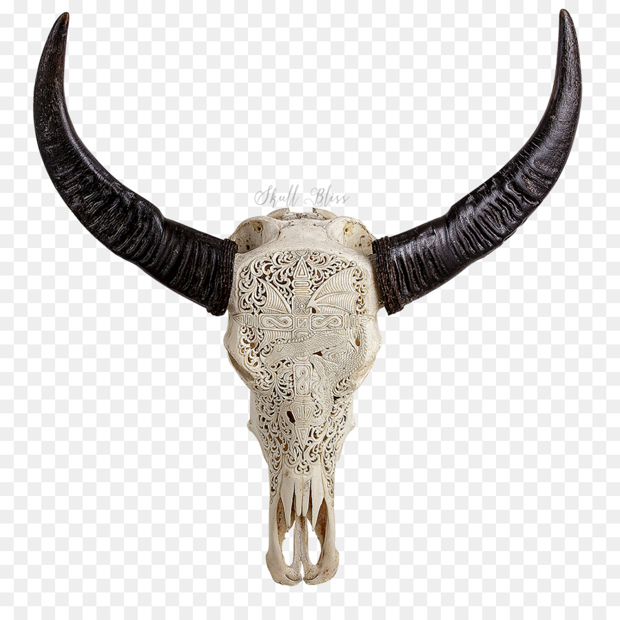 Cattle Horn Animal Skulls Bone - skull png download - 1000*1000 - Free Transparent Cattle png Download.