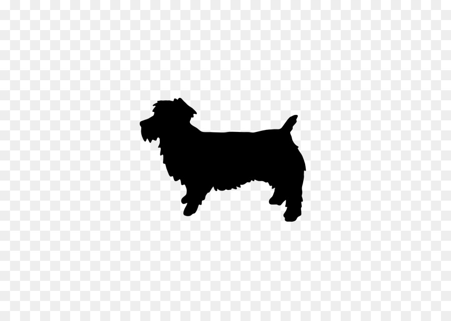 Border Collie Rough Collie Malinois dog Belgian Shepherd Glen - Finnish Spitz png download - 640*640 - Free Transparent Border Collie png Download.