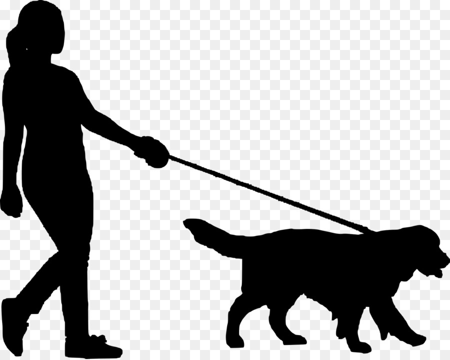 Dog walking Pet sitting Border Collie Kennel - dog walking logos png download - 1280*1021 - Free Transparent Dog Walking png Download.