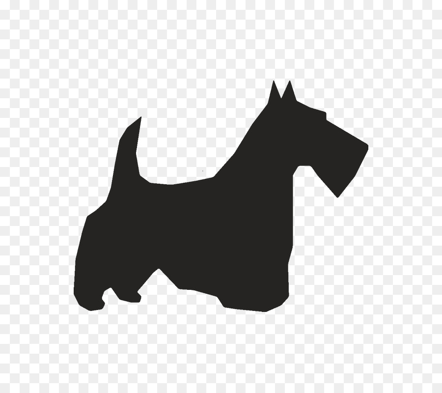 Scottish Terrier American Pit Bull Terrier Boston Terrier - Silhouette png download - 800*800 - Free Transparent Scottish Terrier png Download.