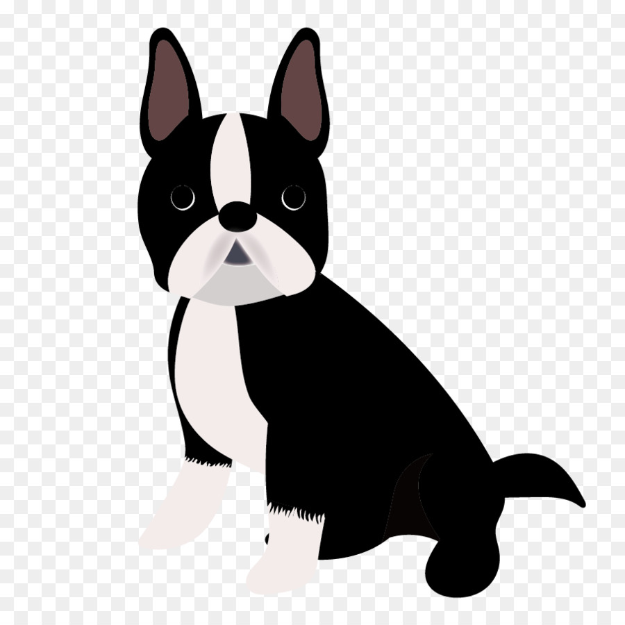 Boston Terrier Puppy Dog breed Companion dog French Bulldog - puppy png download - 909*909 - Free Transparent Boston Terrier png Download.