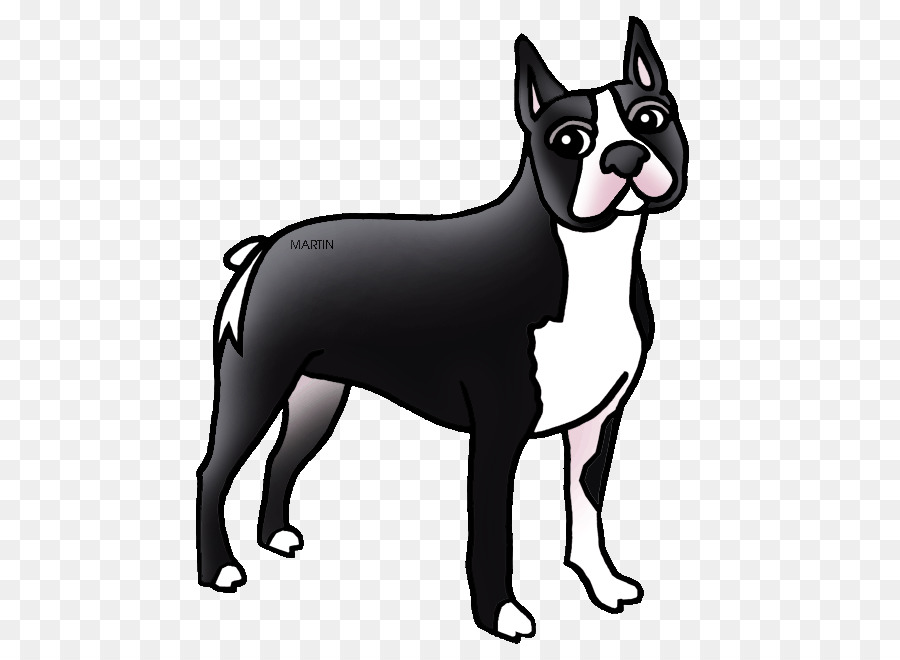 Boston Terrier West Highland White Terrier Yorkshire Terrier Cairn Terrier Scottish Terrier - Boston Terrier Cliparts png download - 567*648 - Free Transparent Boston Terrier png Download.