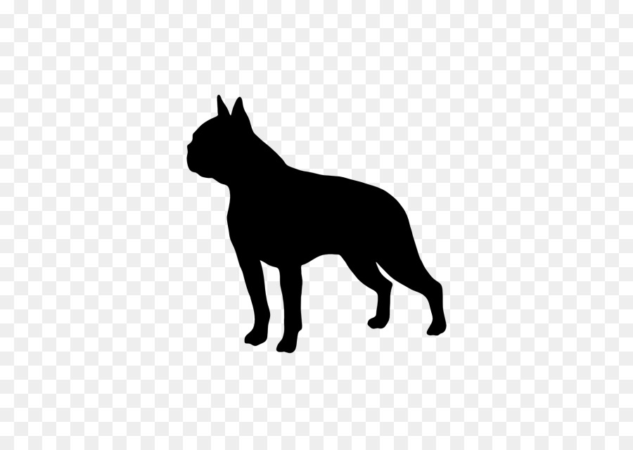 Boston Terrier Border Collie Golden Retriever Chinese Crested Dog Bedlington Terrier - french bulldog png download - 640*640 - Free Transparent Boston Terrier png Download.