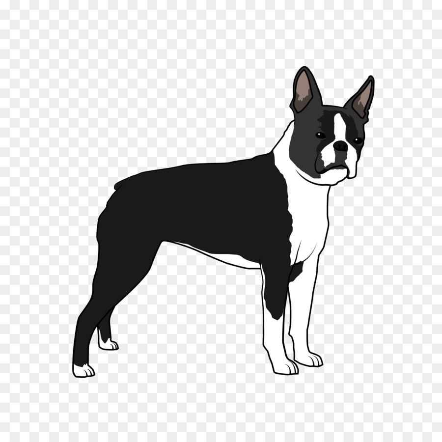 Boston Terrier Dog breed Non-sporting group Whiskers Breed group (dog) - others png download - 1500*1500 - Free Transparent Boston Terrier png Download.