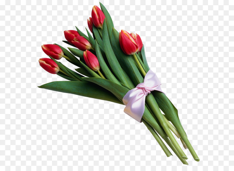 Tulip Flower bouquet Clip art - Bouquet of Red Tulips Transparent PNG Picture png download - 1320*1304 - Free Transparent Heart png Download.