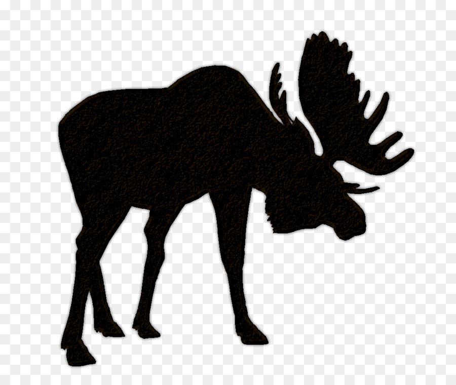 Bullwinkle J. Moose Hunting Deer Clip art - deer png download - 1077*909 - Free Transparent Moose png Download.