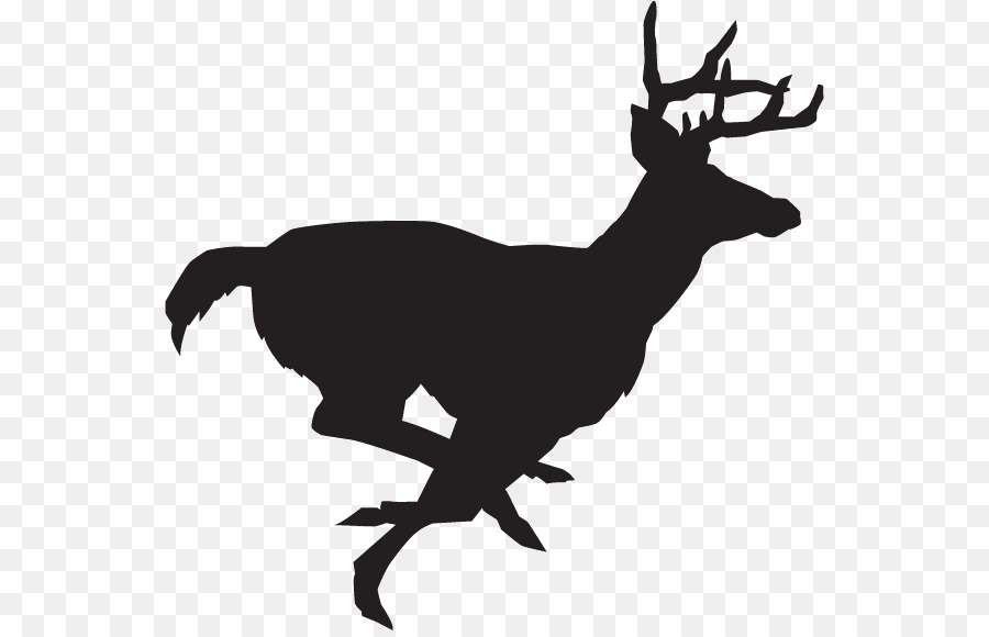 White-tailed deer Clip art Decal Deer hunting - deer png download - 600*575 - Free Transparent Deer png Download.